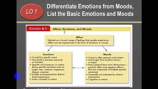 Organizational Behavior  Chapter 4 [upl. by Lynch182]