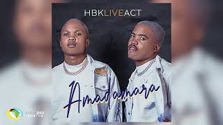 HBK Live Act and Freddy Gwala  Amadamara Official Audio [upl. by Noizneb]