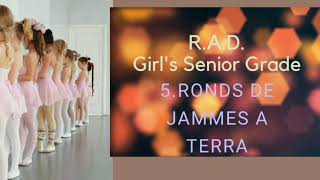 Ballet Senior Grade 5Ronds De Jambe a Terre [upl. by Vickie761]