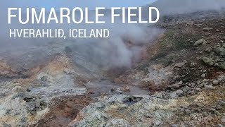 FUMAROLE FIELD AT HVERAHLIÐ Iceland 🔥 [upl. by Strenta]