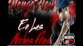 Ñengo Flow Nova y Jory  En las Noches Frias Remix Estreno 2011 [upl. by Llennod609]