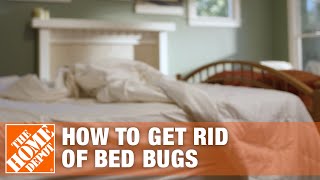 How to Get Rid of Bed Bugs  DIY Pest Control  The Home Depot [upl. by Hibbs]