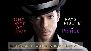 Tribute to Prince [upl. by Aivekal]