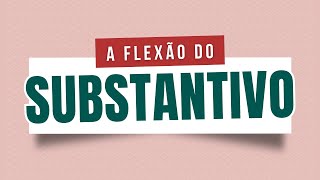 Aprenda as flexões dos substantivos em GÊNERO NÚMERO e GRAU [upl. by Yenetruoc]