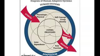 Roys Adaptation Model [upl. by Josefa289]