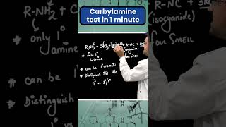 Carbylamine Test Explained in 1 Minute🧪 neet beattheneet neet2024 [upl. by Cort]