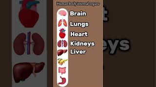 Human body internal organs names Jf english english englishlanguage [upl. by Einahets]