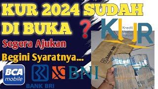 RESMI  PENYALURAN KUR 2024 SUDAH DIBUKA  Begini persyaratannya dan cara daftarnya ❗ [upl. by Eitsirc453]