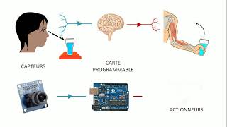 De quoi est composé un système automatisé [upl. by Auohs]