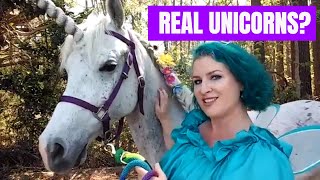 Are Unicorns Real Unicorn FAQ [upl. by Calv]