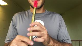 Eleanor Plunkett  Tin Whistle Slow Air [upl. by Wini]