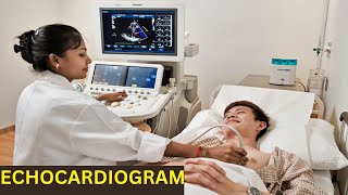 Echocardiogram Echo  Types Indications Patient Preparation Procedure [upl. by Hakim843]