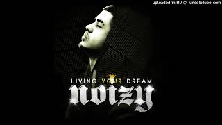 Noizy Feat Mali G  Dridhet Veni HQ [upl. by Ennasil285]