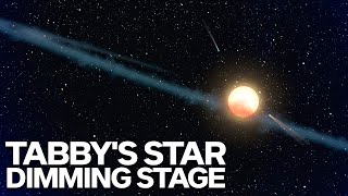 The Curious Case Of Tabbys Star The Mystery Continues [upl. by Mehetabel]