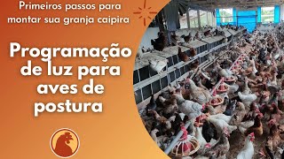 Programação de Luz para aves de postura [upl. by Pepin]