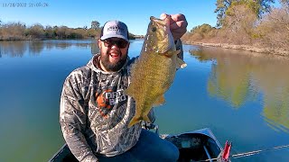 Tuolumne River Bass spawn March 2024 [upl. by Auqinihs]