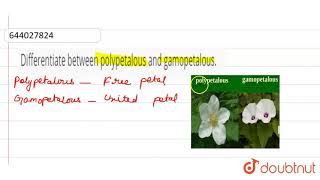 Differentiate between polypetalous and gamopetalous  9  THE FLOWER  BIOLOGY  ICSE  Doubt [upl. by Ahilam]