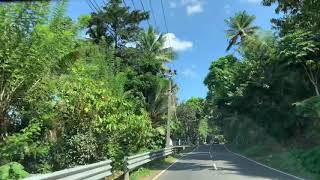 Mundakkayam to Pambanar Road Trip [upl. by Idnam]