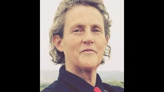 Unlocking Early Intervention Insights from Dr Temple Grandin [upl. by Gibe]