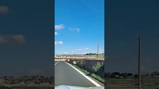 Sicily huge farming highlights shortvideo foryou travel farming italy [upl. by Krasner379]