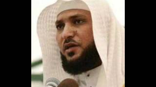 Sheikh Maher Mauiqaly suratal fatihah and baqarah complete [upl. by Nikolia504]