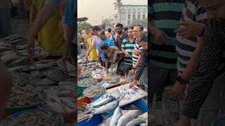 येवा तळोजा आपलाच असा fish seafood fishmarket fishfry fishcurry shortvideo sweetfamily [upl. by Aninad]