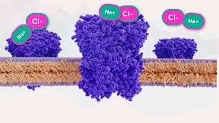 Cystic Fibrosis for Anatomy and Physiology [upl. by Malca]