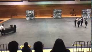 McAllen Memorial HS Winter guard 2017 [upl. by Galliett]