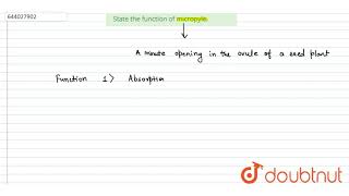 State the function of micropyle  9  POLLINATION AND FERTILIZATION  BIOLOGY  ICSE  Doubtnu [upl. by Bonnes]