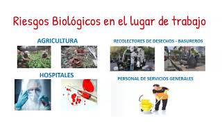 RIESGOS BIOLOGICOS [upl. by Timmy256]