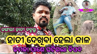 Hati acraman jamala  ହାତୀ ଦେଖା ବିପଦ ଜମଳା ରେ  ମାରି ଦେଲା ହାତୀ [upl. by Redvers148]