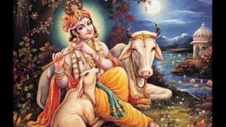 Jai Radha Madhav  Instrumental Divinity 01 [upl. by Downall544]