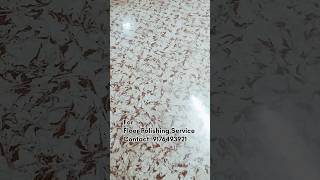 Transforming Old Dirty Mosaic Floor Like a New One floorcare floorpolish home [upl. by Ahsikin730]