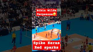 Spike keras Megawati cs red sparks shorts [upl. by Anaeerb524]