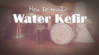 How to make water kefir [upl. by Ahsirat]