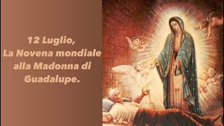 12 Luglio ‍La Novena mondiale alla Madonna di Guadalupe [upl. by Noraf424]