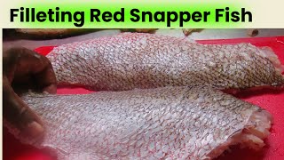 How to fillet Red Snapper Fish [upl. by Meeker]