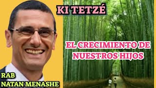 Parashat Shofetim Ki Tetze El Crecimiento de Nuestos Hijos rab Natan Menashe [upl. by Larrej]