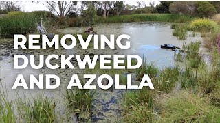 ProSkim Remove Duckweed and Azolla Floating Weeds [upl. by Llenrahs288]