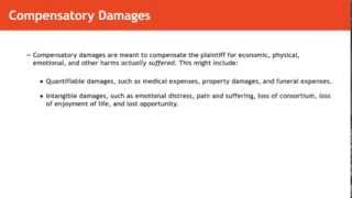 Torts lecture Compensatory and Punitive Damages  quimbeecom [upl. by Asset171]