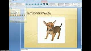 PowerPoint Удаление фона рисунка [upl. by Mccahill]