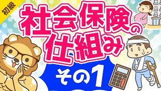 第441回 社会保険の仕組み【お金の勉強 初級編 】 [upl. by Ellehsyt]