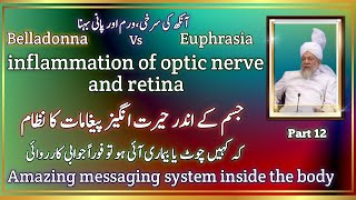 Inflammation of optic nerve and retina belladonna vs Euphprasia  amazing message system [upl. by Nolos]