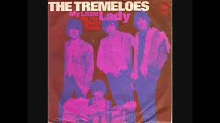 My little lady  The Tremeloes [upl. by Akfir]