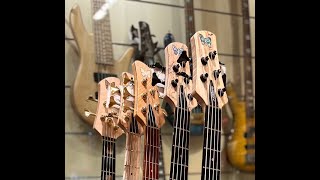 Fodera basses at Thomann [upl. by Aramo]