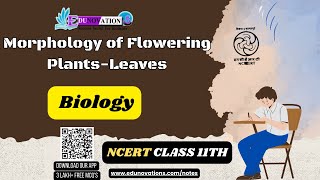 Morphology Of Flowering Plants Leaves  NCERT Class 11 BIOLOGY  CBSE  NEET [upl. by Maxwell]