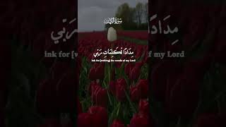 Quran recitation reels shorts shortvideo quran [upl. by Dorice919]