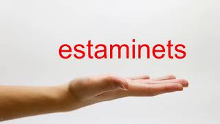 How to Pronounce estaminets  American English [upl. by Devy]