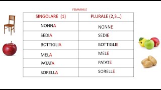 Italiano per stranieri Lezione 3 Nome Singolare Plurale [upl. by Maia]