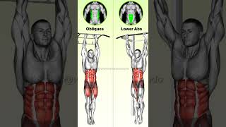 ABS Workouts EXPLAINED KNOW the DIFFERENCE for Better Core Training [upl. by Lahtnero]